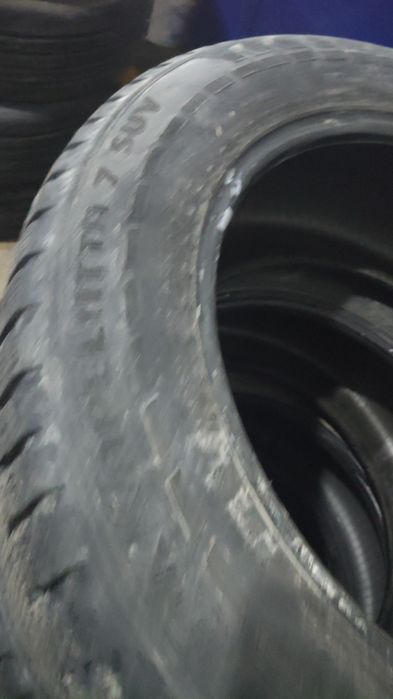 Шины нокиан хакапелита