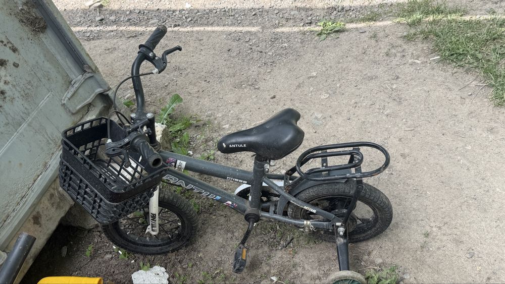 Велик летски велик