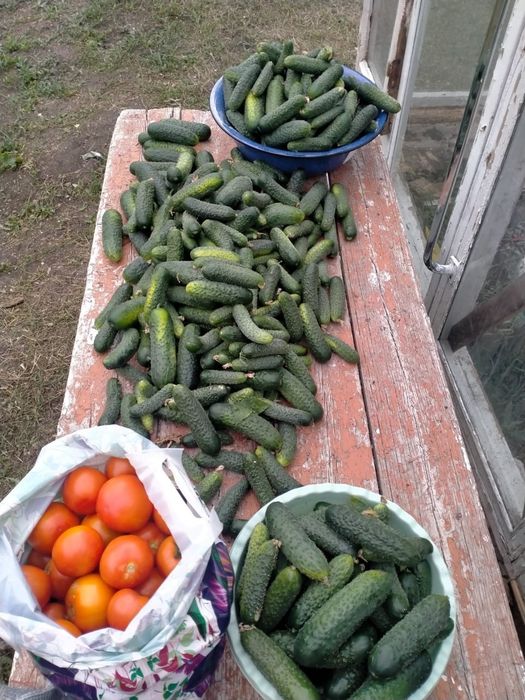 Продам просторный коттедж дуплекс