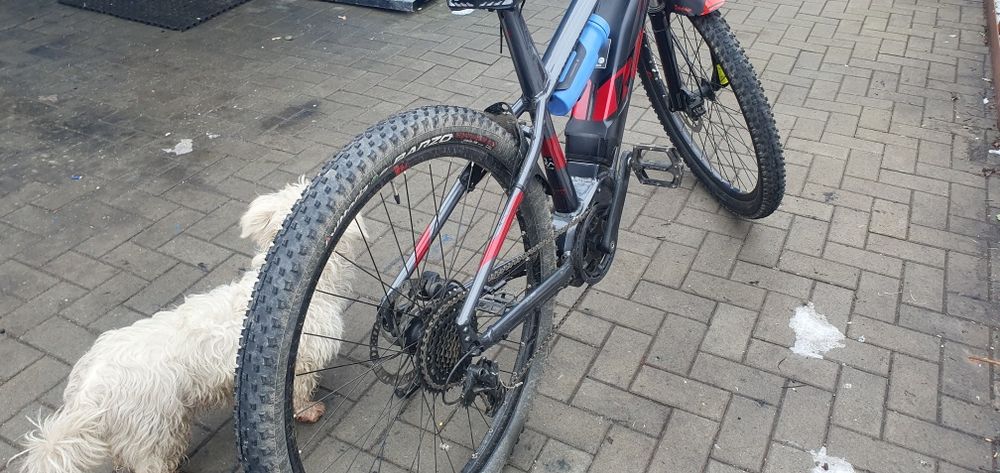 Vând bicicleta electrica RAYMON urgent  nu are niciun defect .