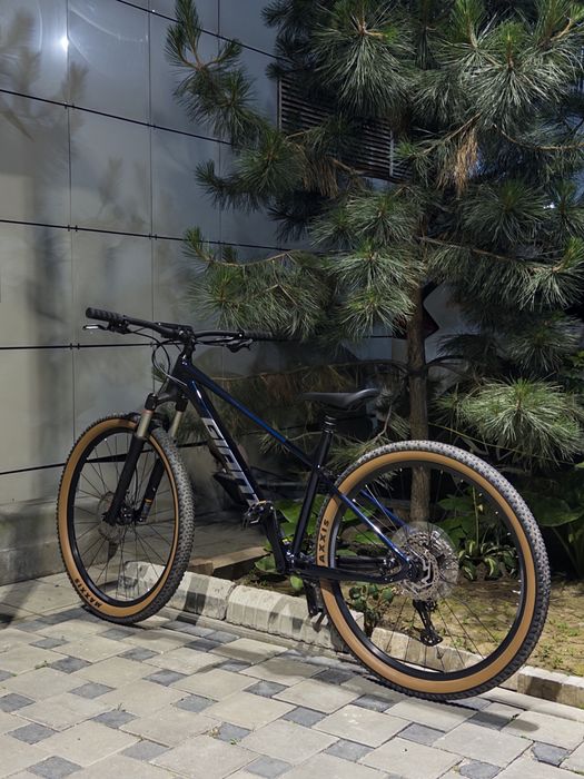 Giant talon 0 2026