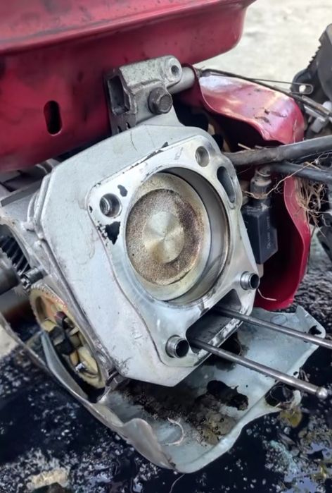 Repar motoare 2T /4T