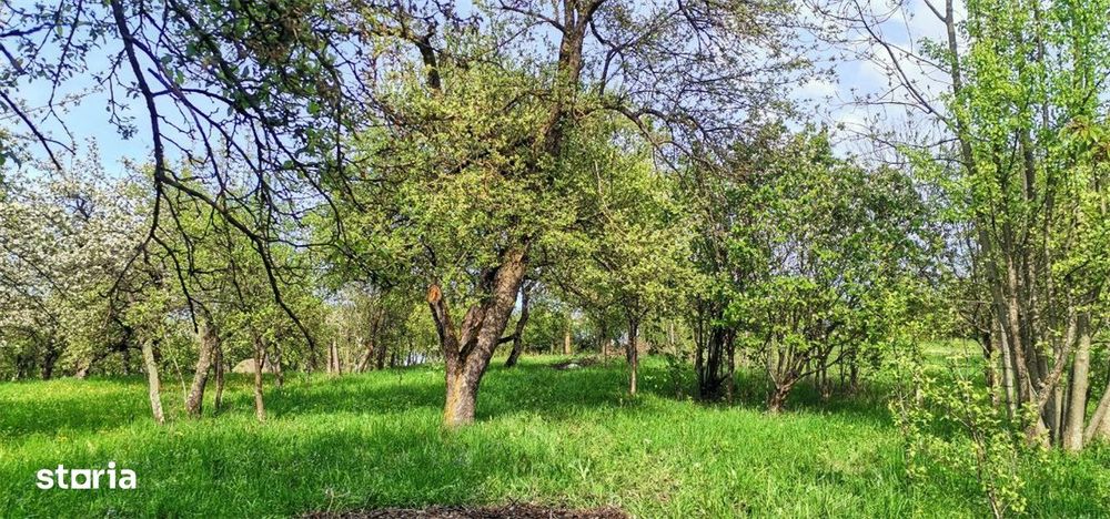 Casa Traditionala + Casa noua la tara langa Cluj. Teren 2000mp