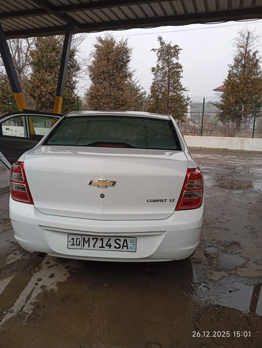 Cobalt 2019 mexanika