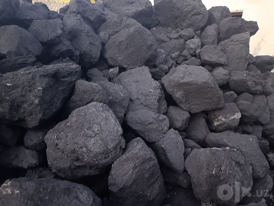 Ангирен кора кумири сотилади  оптом нархларда