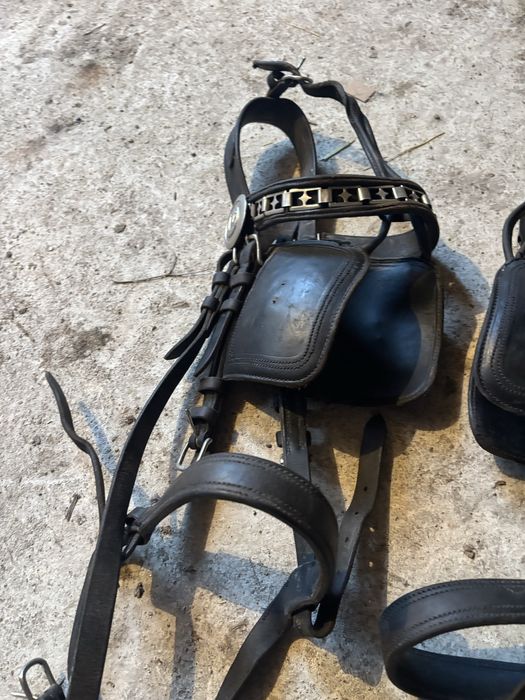 Capestre piele marime full