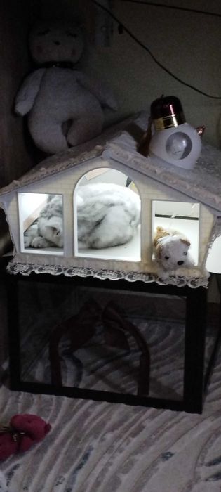 Домик для котиков эксклюзив