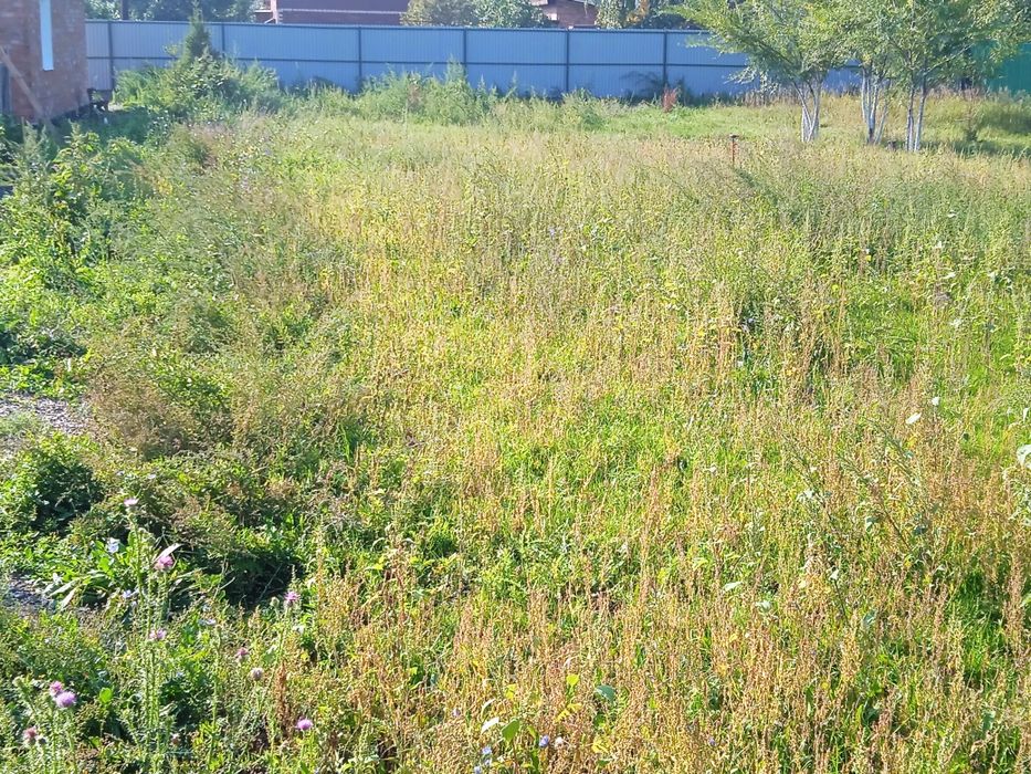 Земельный участок