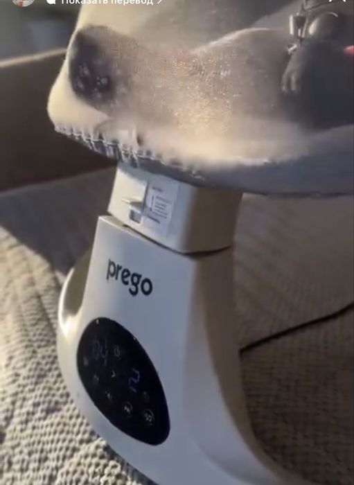 Продам шезлонг.