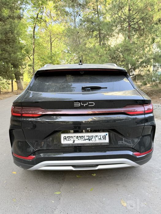 BYD Chempion Smart