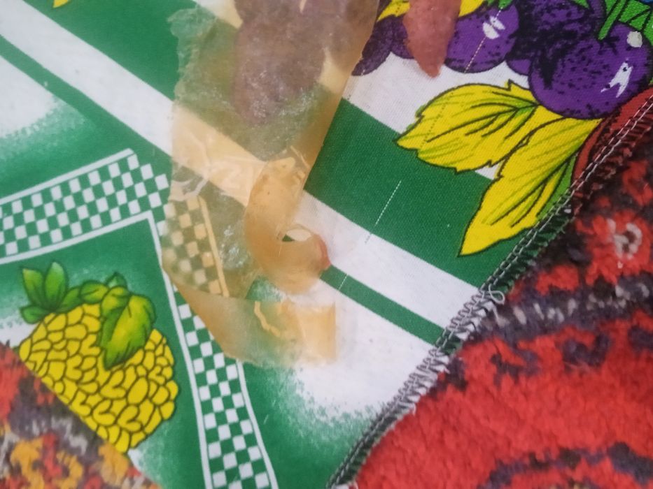 Apple Iphone 8 pilus