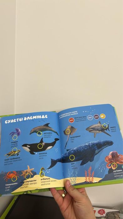 Балаларыңызға арналған дамытушы кітап