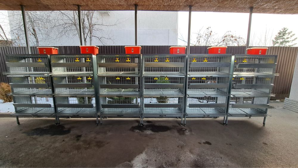 Клетки для перепелов