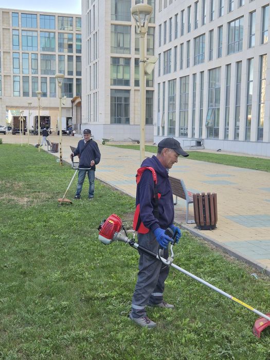 Скос травы,спил и стрижка кустарника.