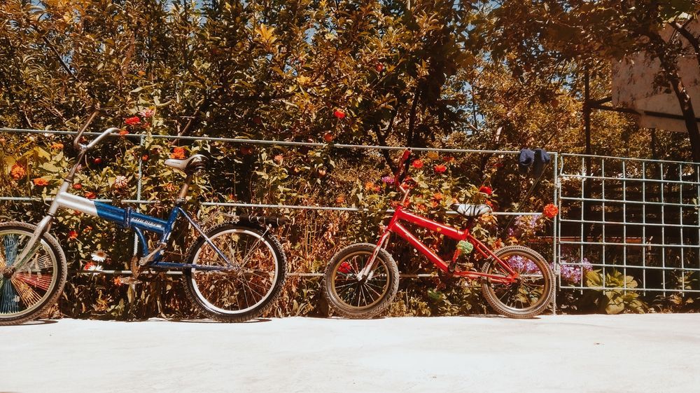 Гарантия жок бермеймин