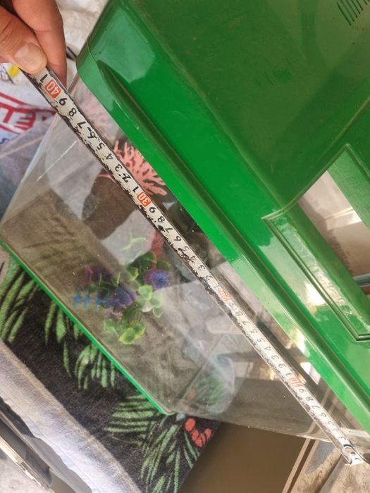 Аквариум с треском для тераримума