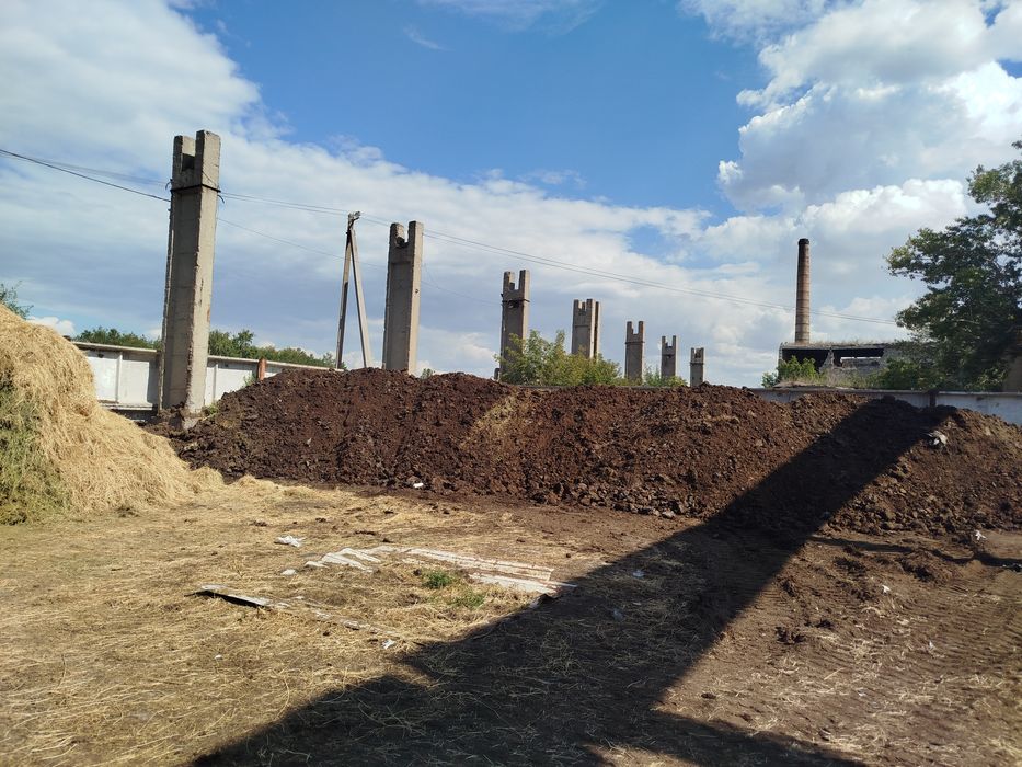 Отдам навоз конский