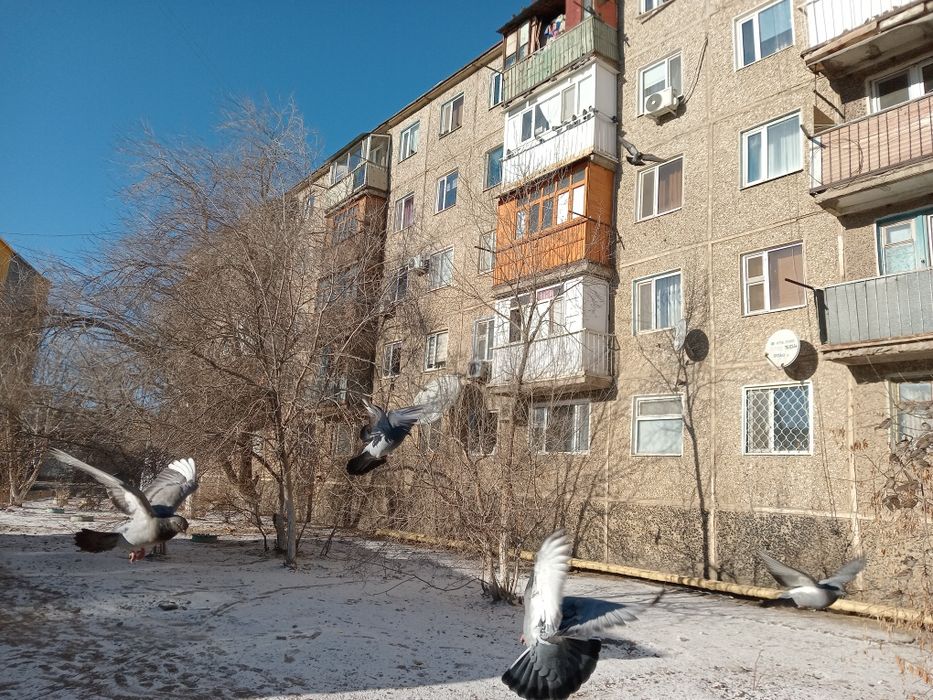 Продам 1 комнатную