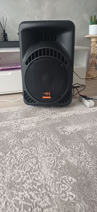 Boxe active 12" E-Lektron Nemtesti