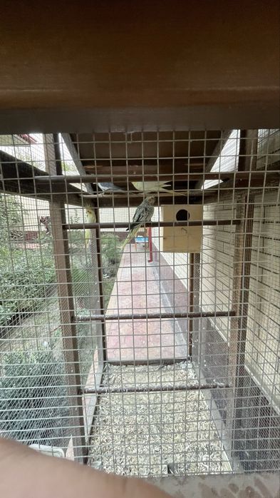 Karella 2 para bor uyi ham sotiladi