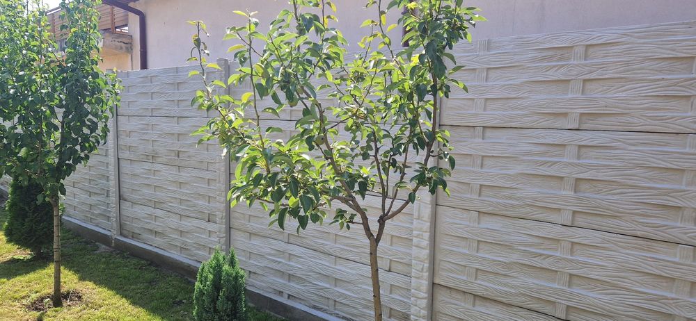 Vând gard din beton