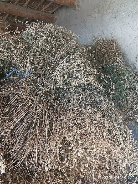 Beda mol òt беда арзон Ромитан Бухоро