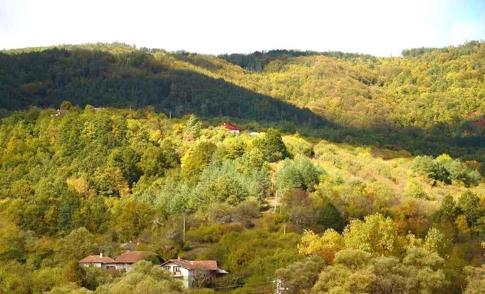 Продава се Къща в с. Горочевци, Област Перник - 820 кв.м за 318 €/кв.м - Снимка #22