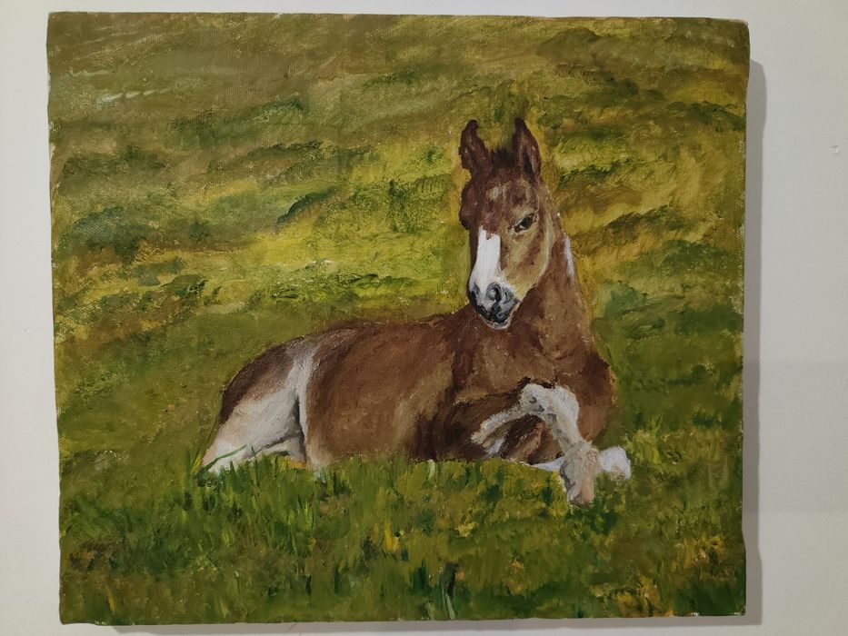 Картина без рамки.Жеребенок.Масленная краска 40/30.