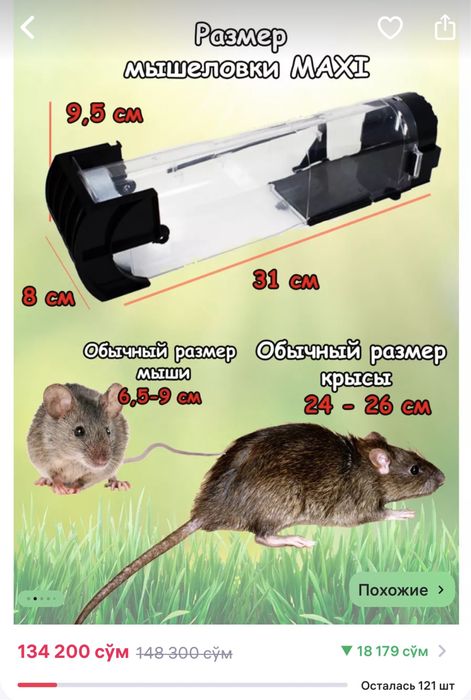 Мышеловка крысаловка гуманная