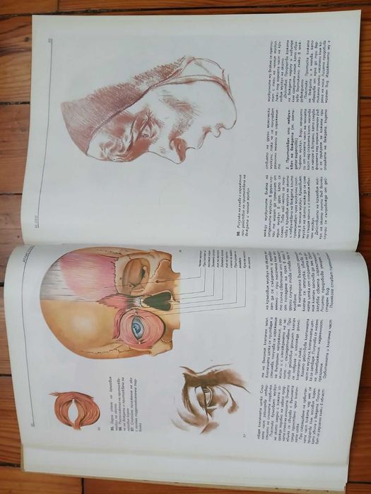 Атлас/Глава-Учебник/Помагало за Художници