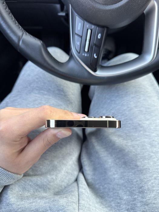 14 про мах 256гб EAC