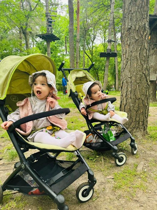 Carucior Cybex Libelle