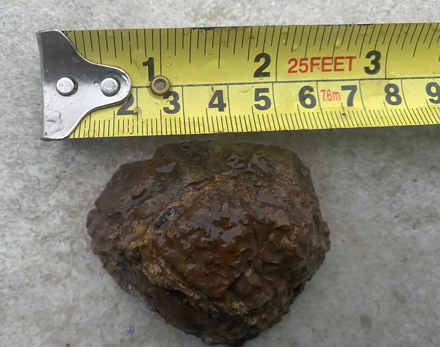 Geode agate nodule Thunderegg