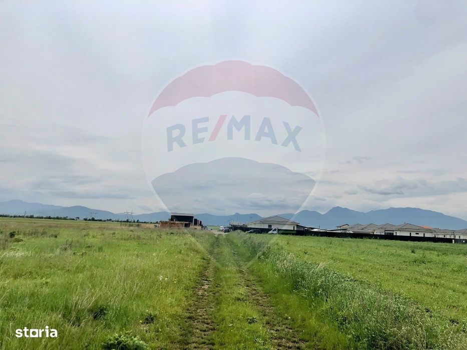 Comision 0% | 4 Parcele 538mp | Harman, Strada MIHAIL SADOVEANU