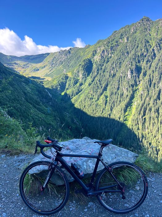 Cursiera carbon Ultegra 7.8kg 52cm