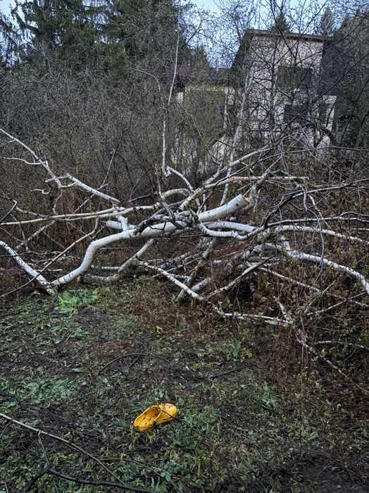 [обещани] Безплатно - дърва за огрев или дърводелство