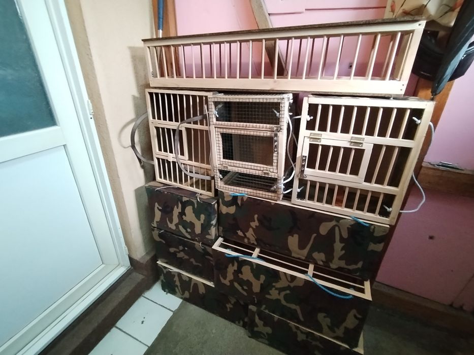 Hrănitori porumbei și cuști transport