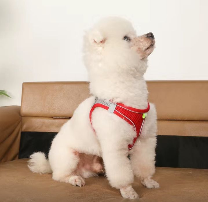 Шлейка, поводок для шенка