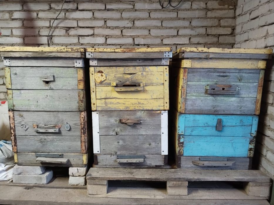 Продам улья для пчёл