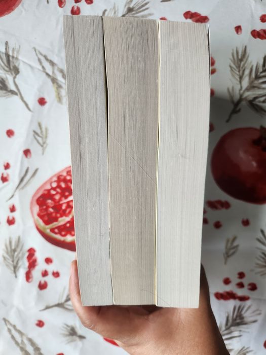 "Шерли", "Виллет" (Городок), "Незнакомка из Уайлдфелл-холла" Бронте