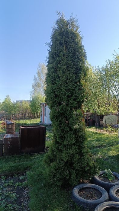 Продам дачу в Ромашке