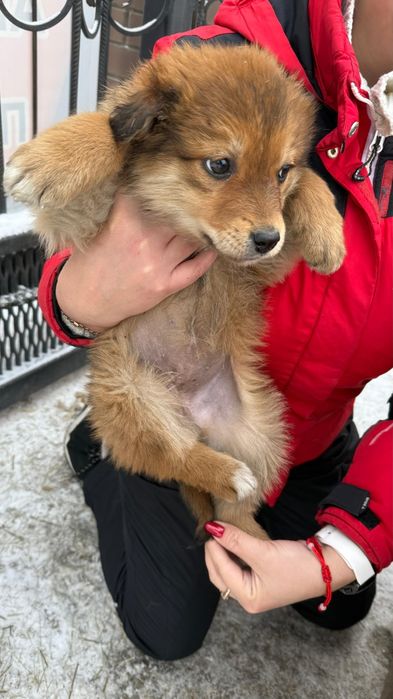 Актианые малыши мальчики и девочки