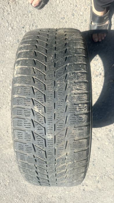 Зимние шины Triangle SnowLink PL01 215/55 R17