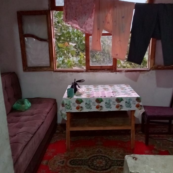 Sheriklikka turadigan qizlar yoki oila kerak ila kerak
