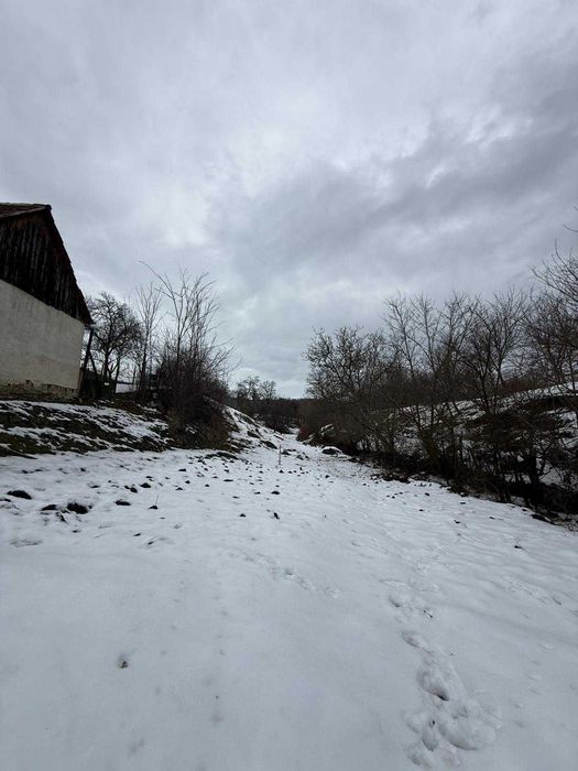 Casa de vanzare cu gradina ultracentral