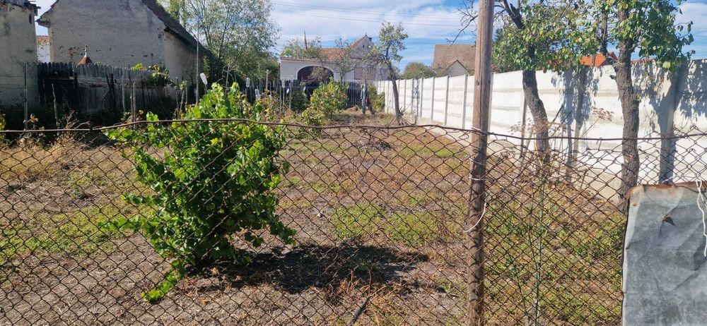 Casa de vanzare cu gradina si curte Drasov Jud. Alba