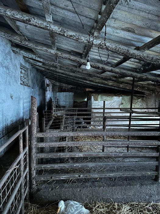 Grajd fostă fermă în Stelnica (IL)