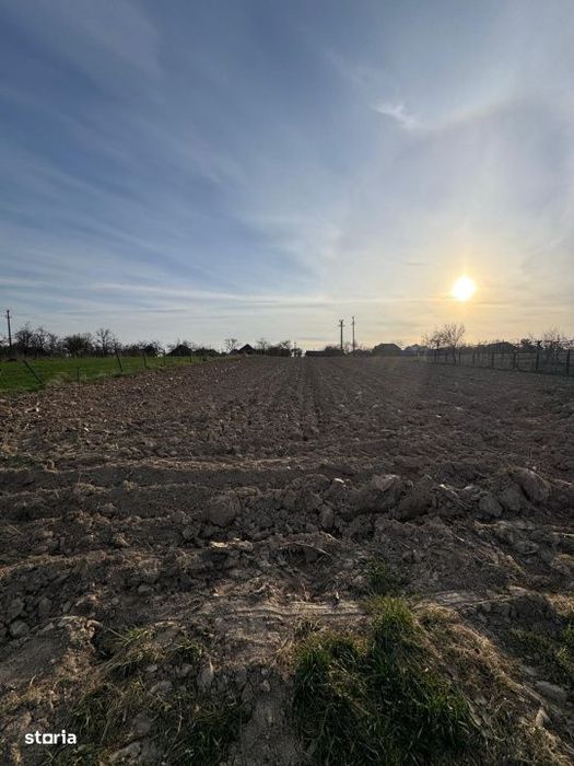 Casa Asuaju de Sus, 47 ari teren, investitie, necesita renovare