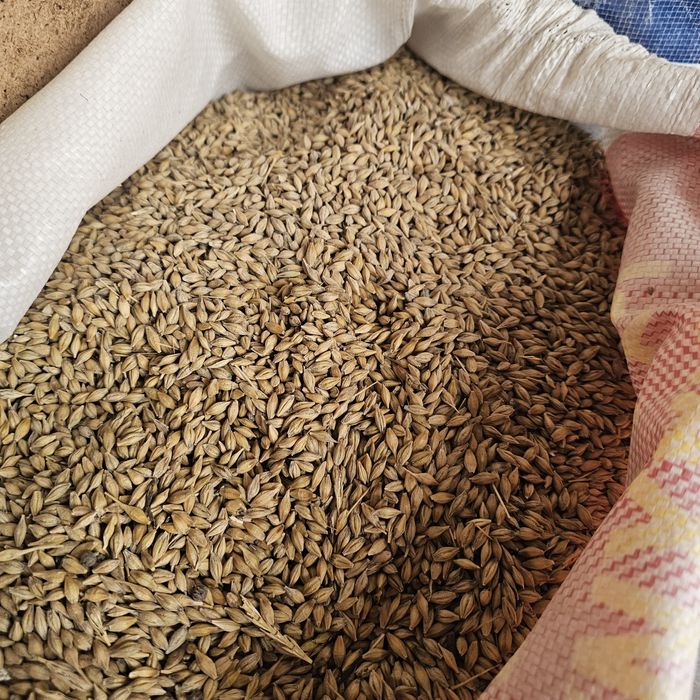 Жухари бугдай арпа сули кепак