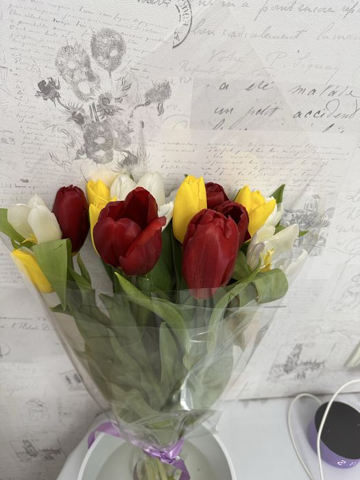 Тюльпаны 8 марта сегодня подарили 6 тыс